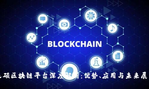 天硕区块链平台深度解析：优势、应用与未来展望
