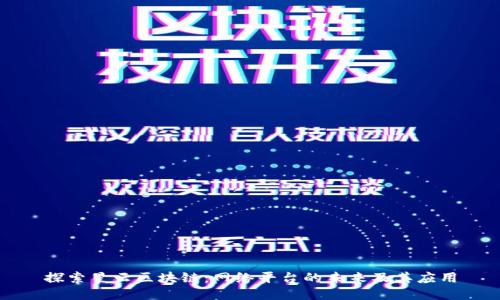 探索星云区块链：网络平台的未来及其应用