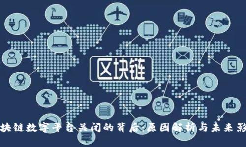 区块链数字平台关闭的背后：原因解析与未来影响