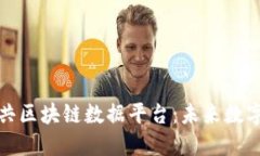 探索中国公共区块链数据平台：未来数字经济的