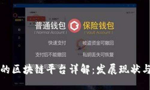 国内最大的区块链平台详解：发展现状与未来趋势