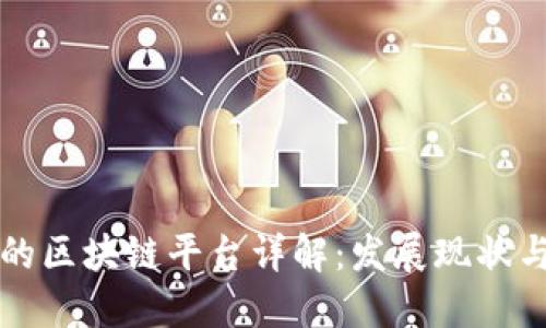国内最大的区块链平台详解：发展现状与未来趋势