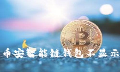 如何解决TP币安智能链钱包不显示资产的问题