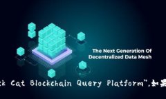 黑猫区块链查询平台的英文翻译是 ＂Black Cat Bl