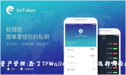 解码数字资产管理：除了TPWallet，你还可以选择哪些数字钱包？