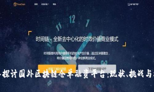 深入探讨国外区块链仓单融资平台：现状、挑战与机遇