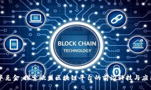 华克金：探索欧盟区块链平台的前沿科技与应用