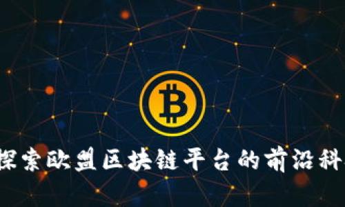华克金：探索欧盟区块链平台的前沿科技与应用