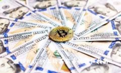 在TPWallet上购买新币的详细指南