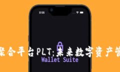探索区块链聚合平台PLT：未来数字资产管理的新