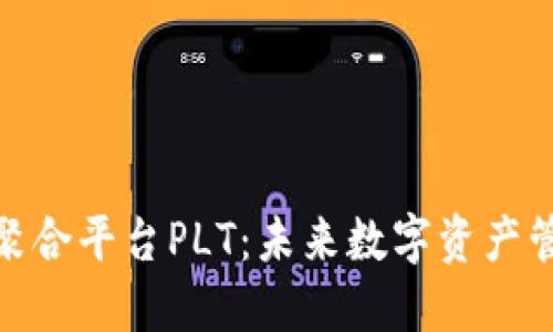 探索区块链聚合平台PLT：未来数字资产管理的新趋势