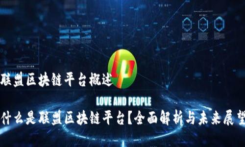 联盟区块链平台概述

什么是联盟区块链平台？全面解析与未来展望