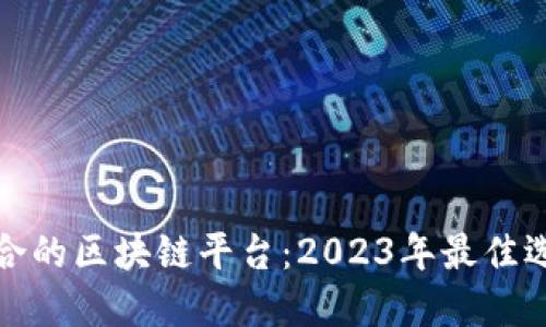 选择适合的区块链平台：2023年最佳选择指南