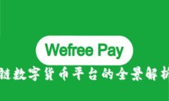 王鹏飞区块链数字货币平台的全景解析与投资策