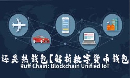 TP钱包是冷钱包还是热钱包？解析数字货币钱包的类型与安全性