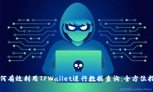 如何有效利用TPWallet进行数据查询：全方位指南