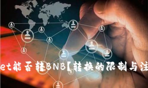 TPWallet能否转BNB？转换的限制与注意事项