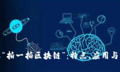 全面了解“拍一拍区块链”：特点、应用与未来