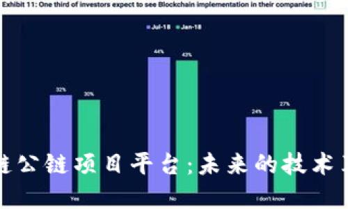 深入探讨区块链公链项目平台：未来的技术革新与投资机会