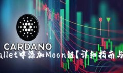 : 如何在TPWallet中添加Moon链？详细指南与常见问题